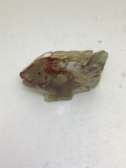 Onyx Fish