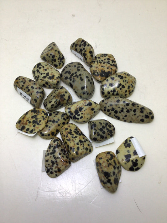 Dalmation Jasper
