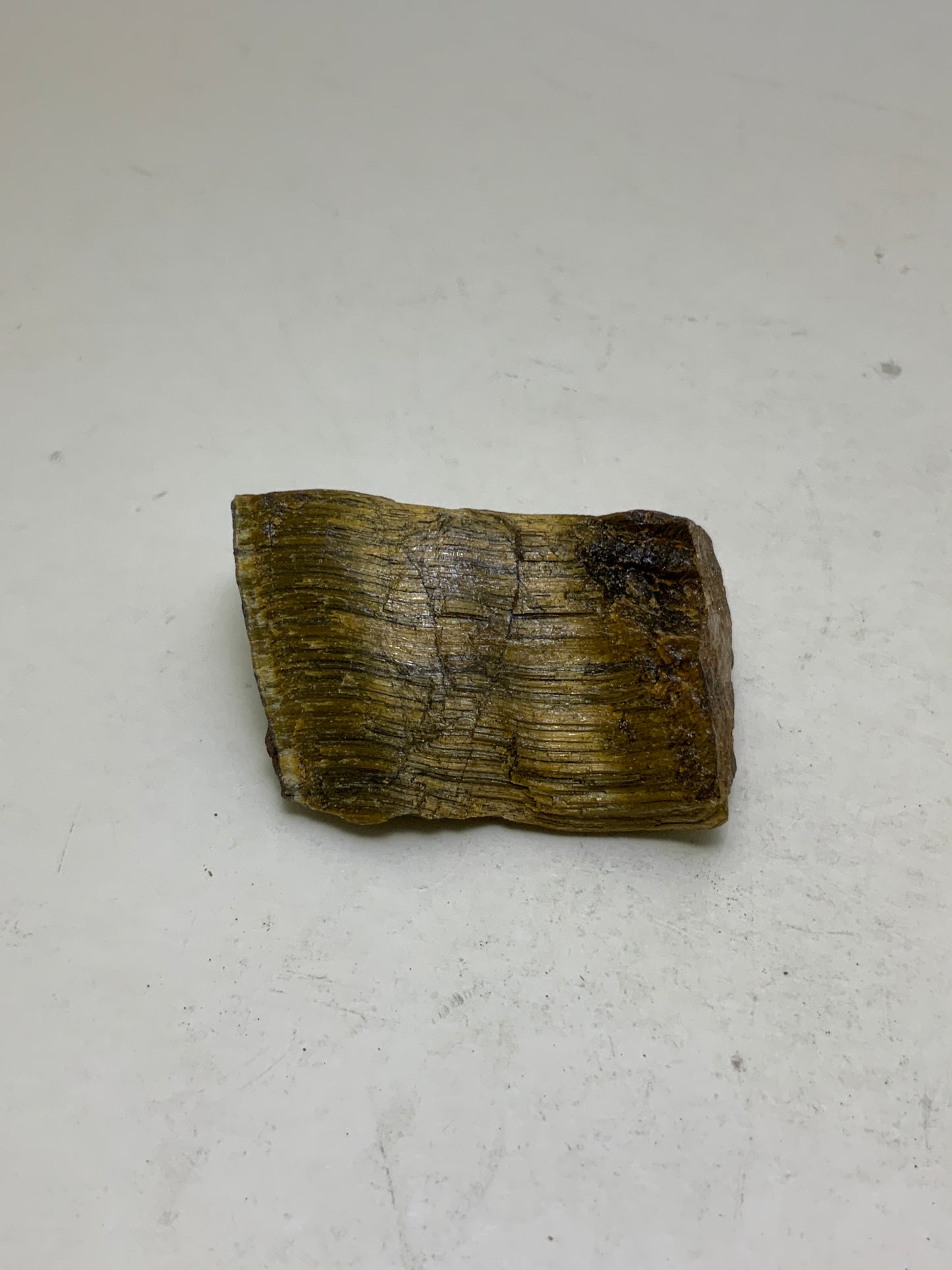 Tiger Eye