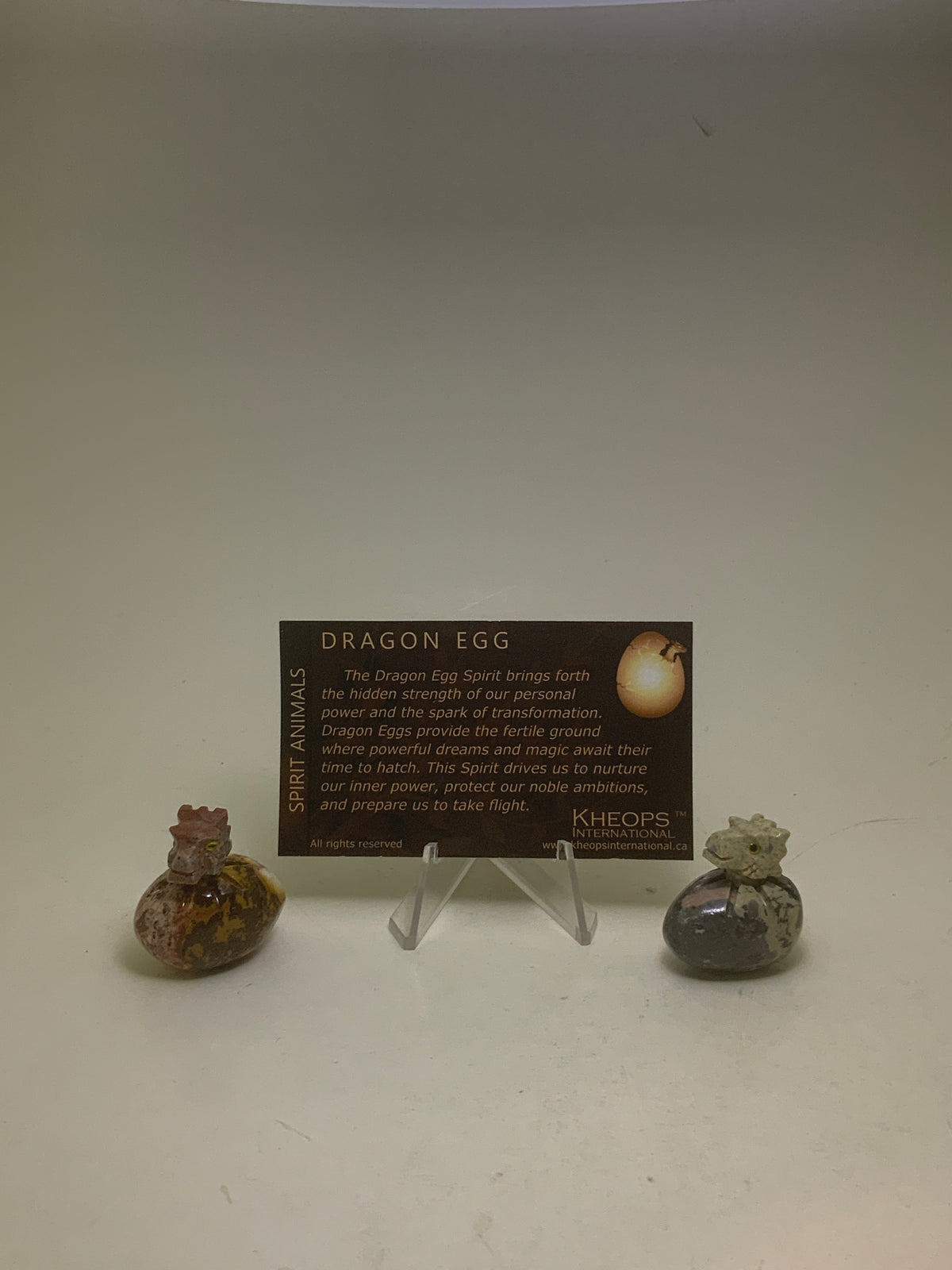 Dragon in an Egg Spirit Animal