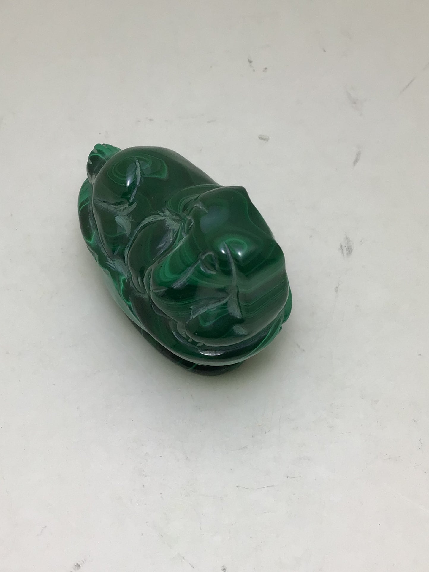 Green Malachite Dog