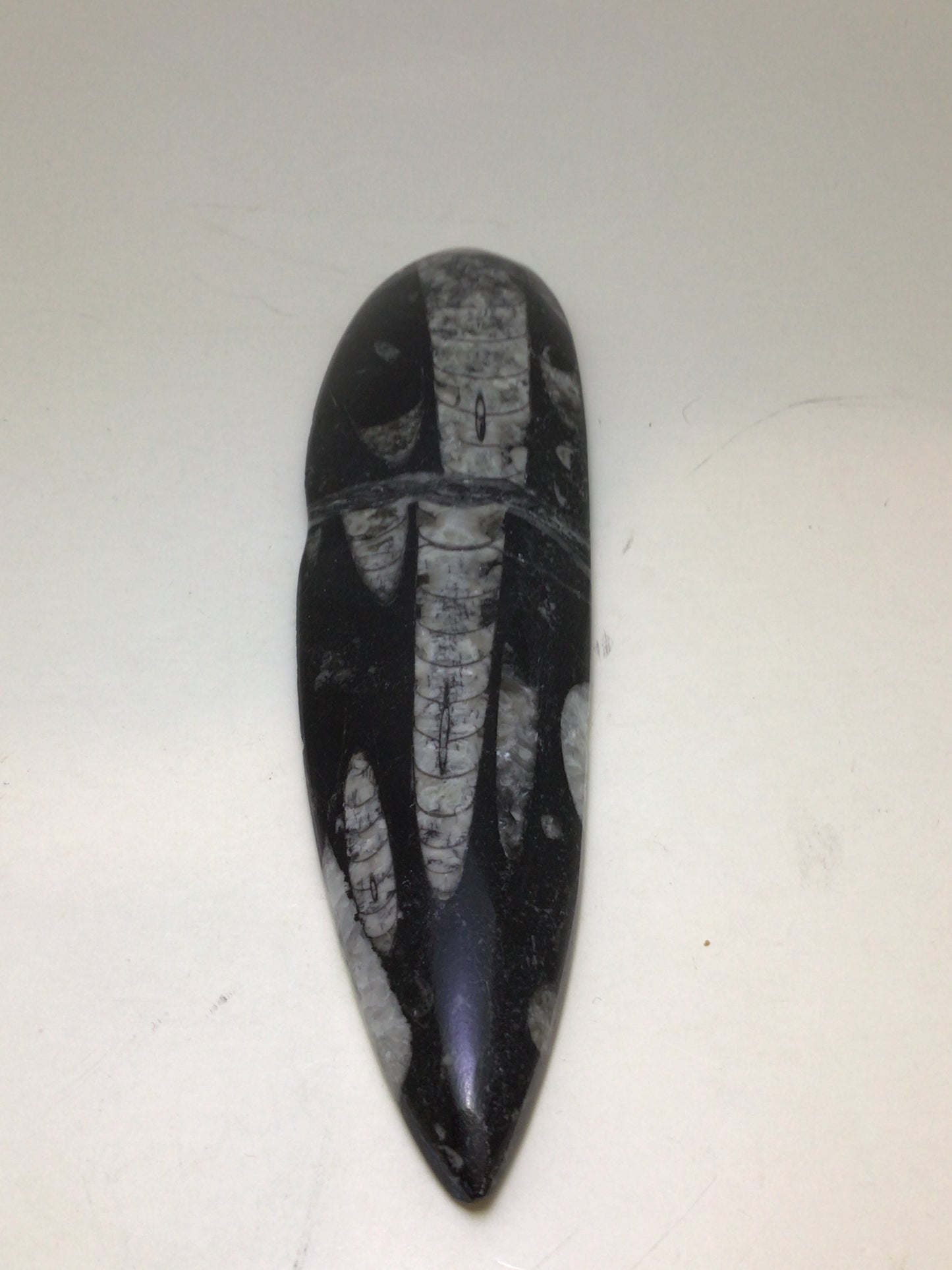 Orthosera Blade