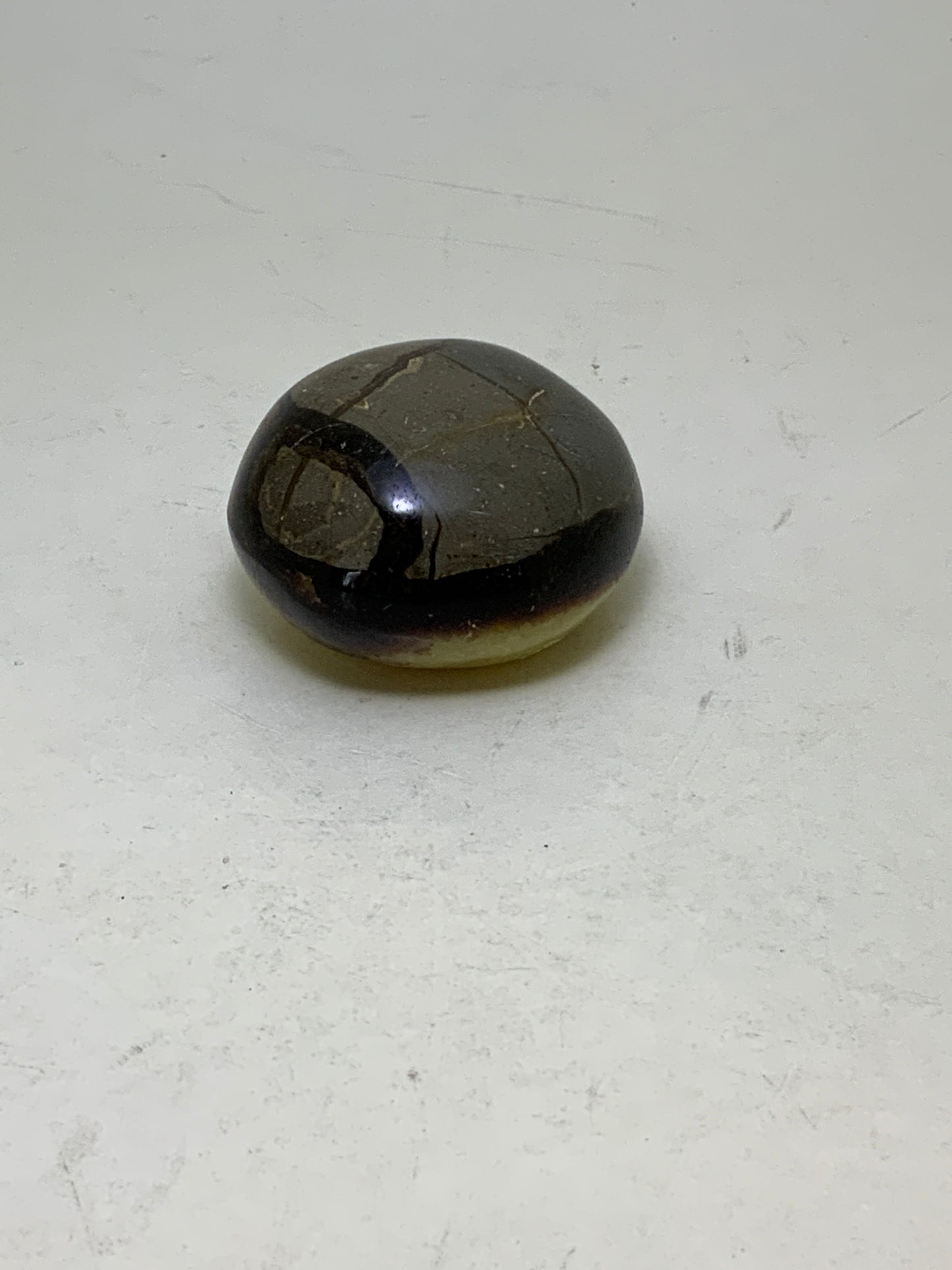 Septarian Nugget