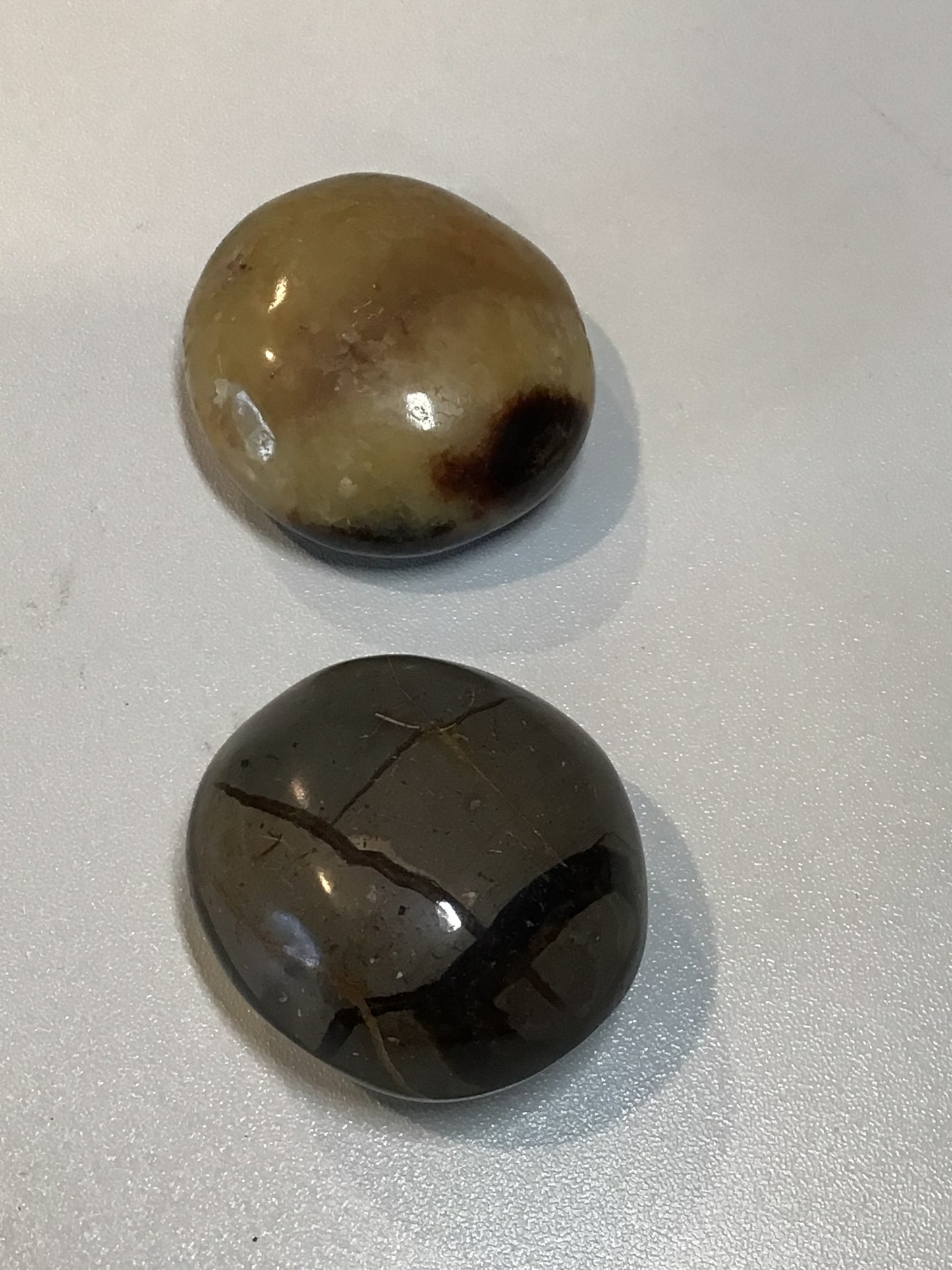 Septarian Nugget